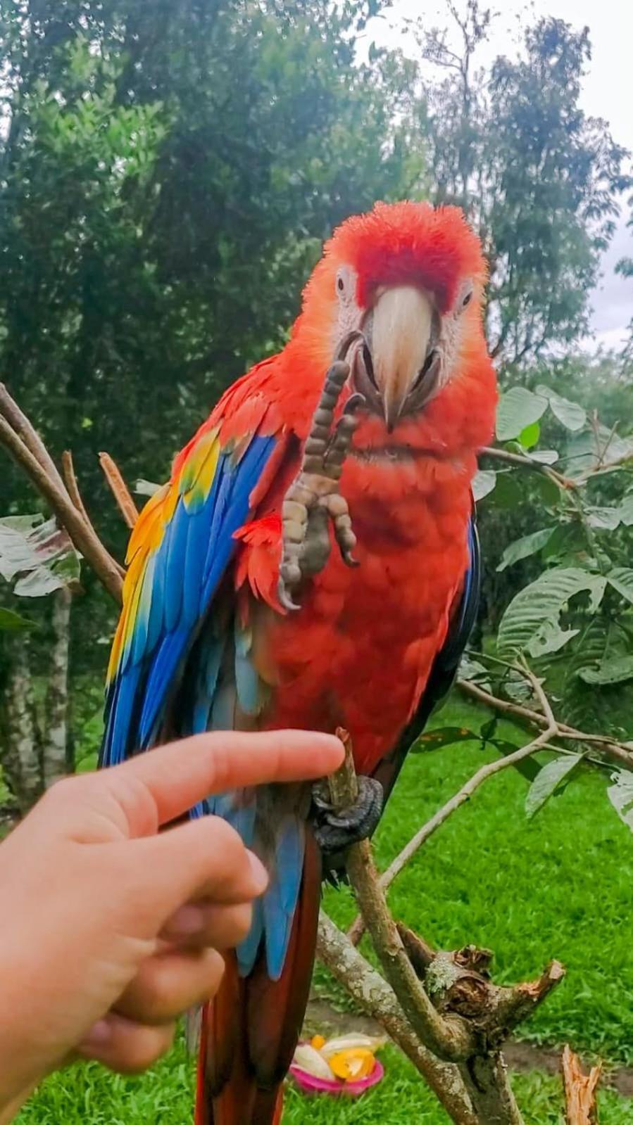 فندق La Quinta De Andres San Isidro  المظهر الخارجي الصورة