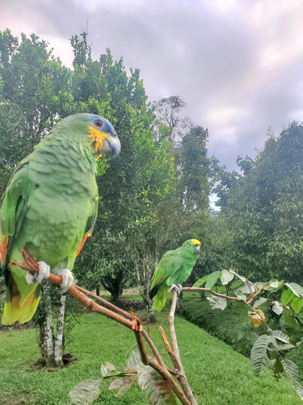 فندق La Quinta De Andres San Isidro  المظهر الخارجي الصورة