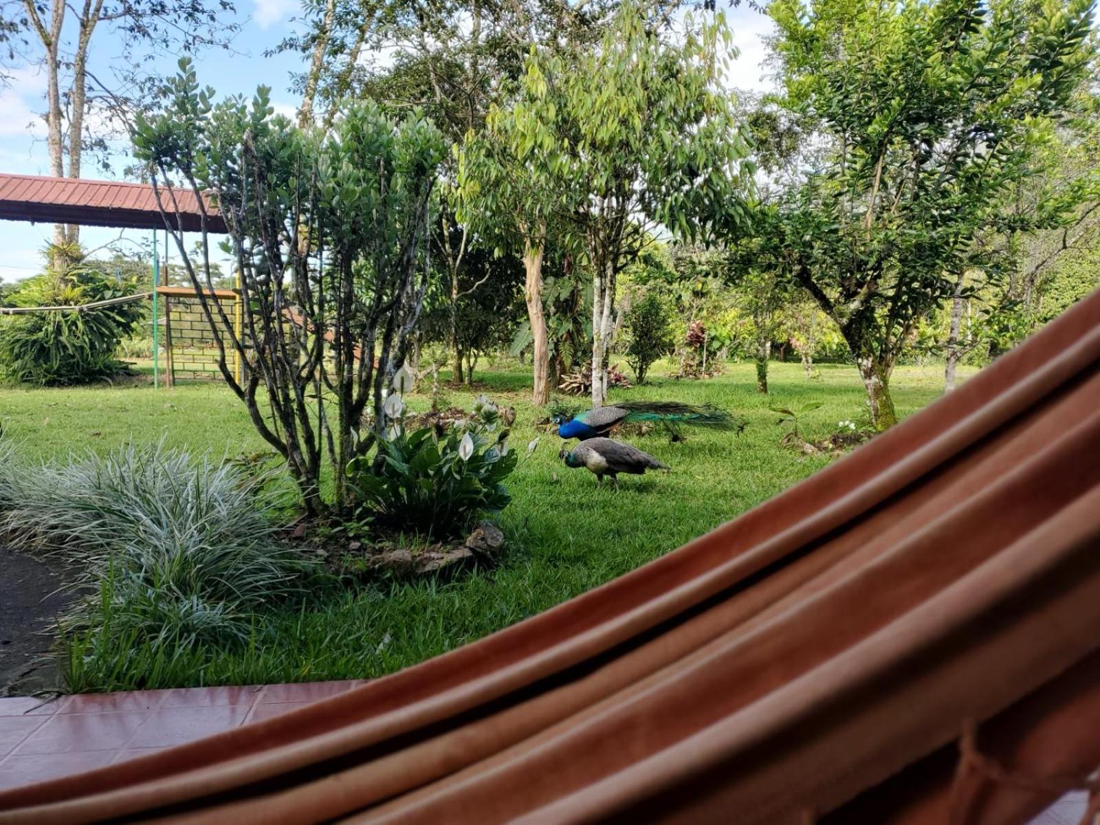 فندق La Quinta De Andres San Isidro  المظهر الخارجي الصورة