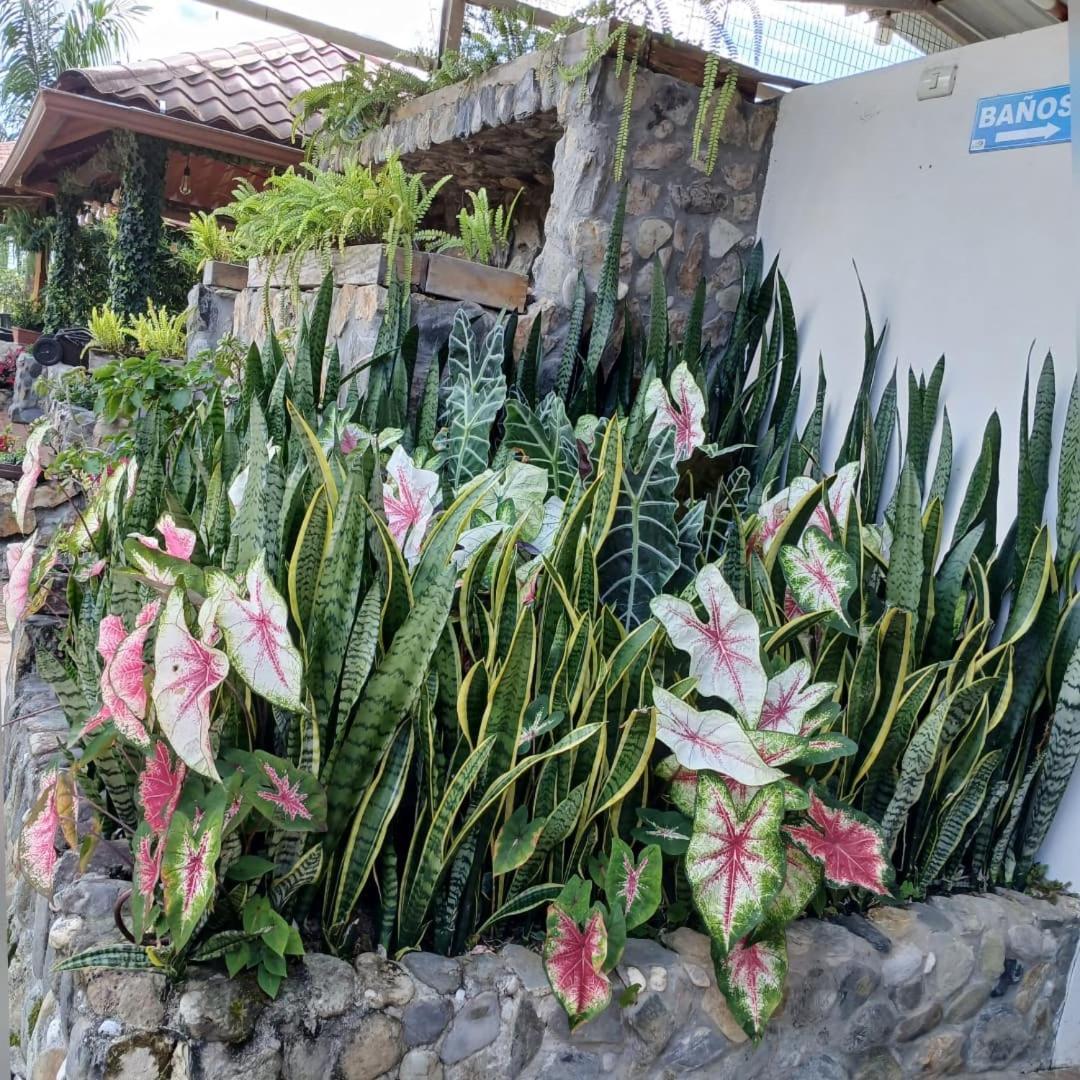 فندق La Quinta De Andres San Isidro  المظهر الخارجي الصورة