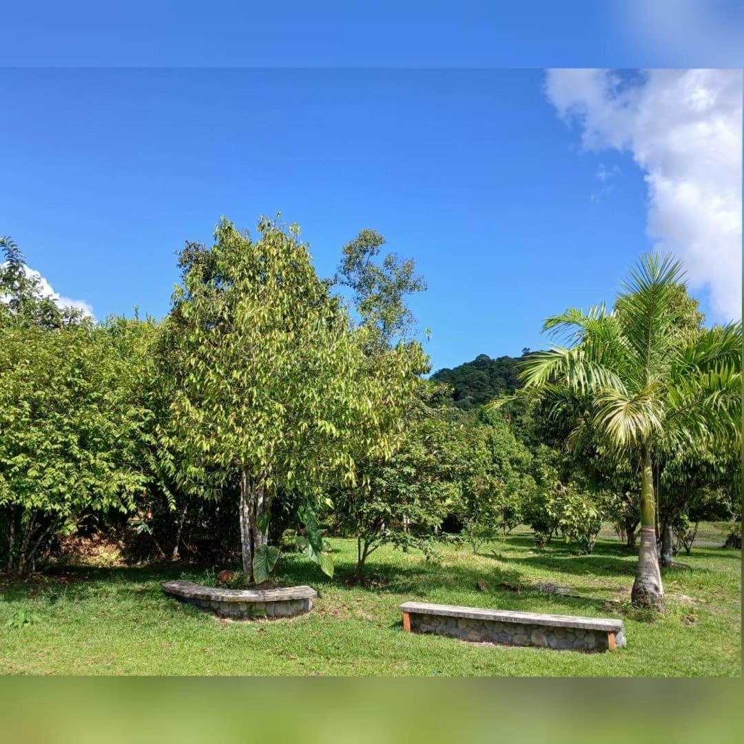 فندق La Quinta De Andres San Isidro  المظهر الخارجي الصورة